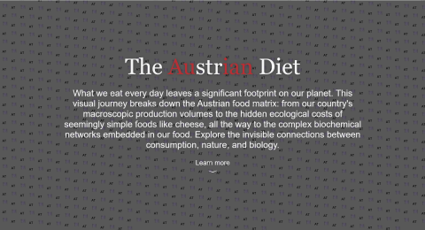 The Austrian Diet