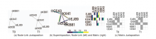 : Different combinations of structural and temporal encodings of a network as depicted in our study